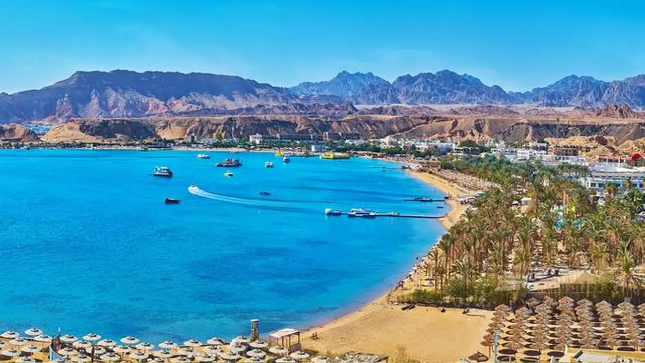 جمعية المطورين في مصر تصدر لائحة ملزمة لتشغيل المنتجعات السياحية